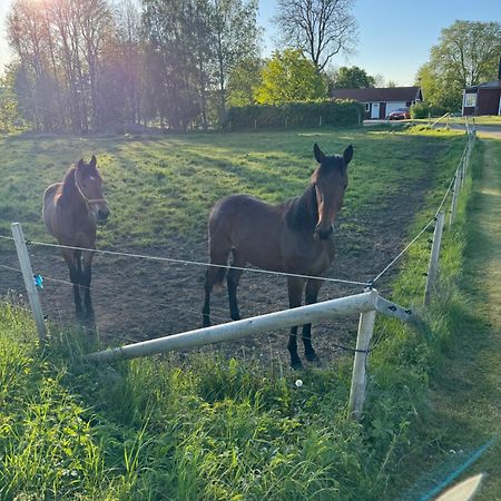 Skattegardens Gaesthus Villa Falköping Eksteriør billede
